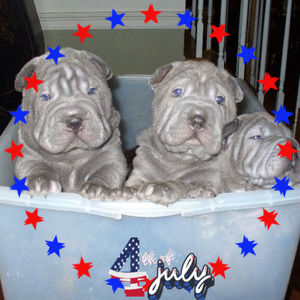 Meet your Posher, Barbara